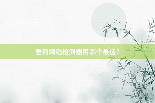 垂钓网站检测器用哪个最佳？